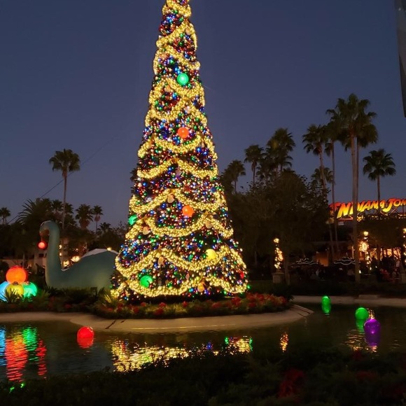 Meet your Posher, Rhonda - Picture 1 of 1